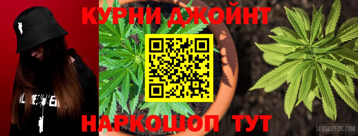 МАРИХУАНА сатива Урай